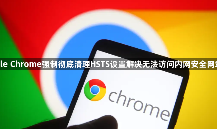 google Chrome强制彻底清理HSTS设置解决无法访问内网安全网站异常1