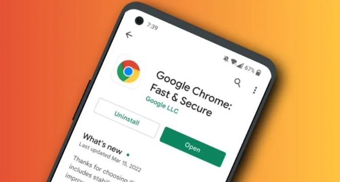 Chrome浏览器隐私安全设置及操作技巧