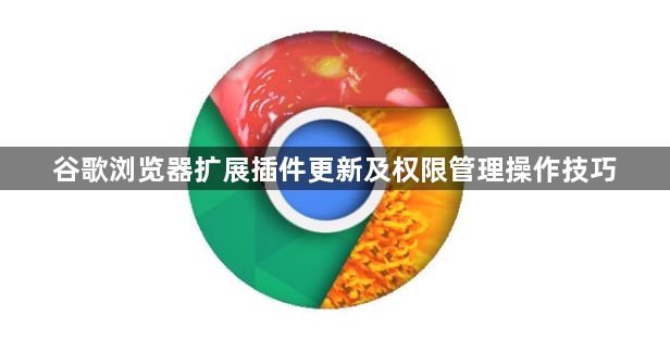 谷歌浏览器扩展插件更新及权限管理操作技巧1