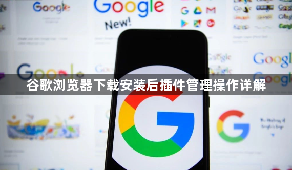 谷歌浏览器下载安装后插件管理操作详解1