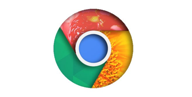 Chrome浏览器首次安装历史版本操作流程解析