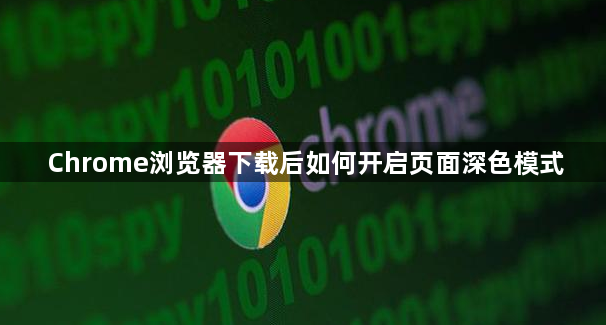 Chrome浏览器下载后如何开启页面深色模式1